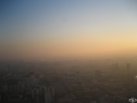 80% �� ����������� ����� ������, ����� � �������� ������ �� �����������